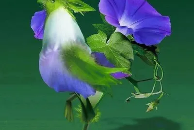 flor