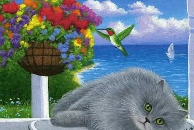 gato