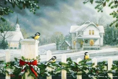 neve