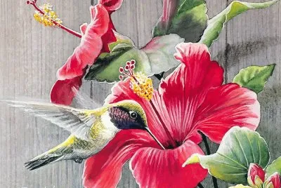 Flying Hummingbird