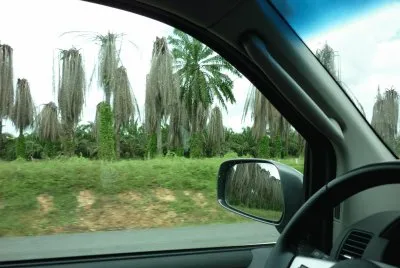 hermoso paisaje