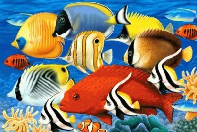 Under the Sea jigsaw puzzle