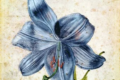 15 jigsaw puzzle