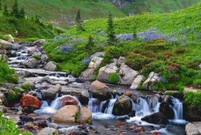Untitled jigsaw puzzle