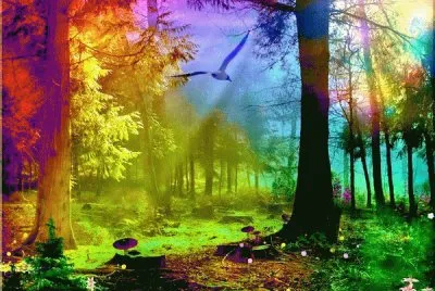 Pretty Woods jigsaw puzzle