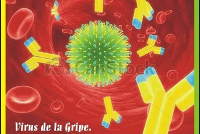 VIRUS DE LA GRIPE. jigsaw puzzle