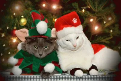 Christmas