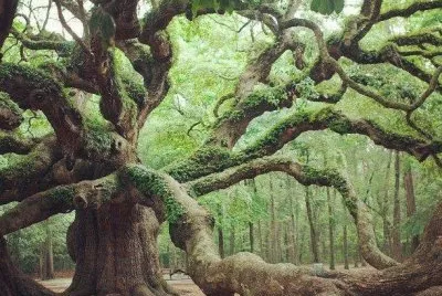 */*/ jigsaw puzzle
