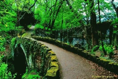 *** jigsaw puzzle
