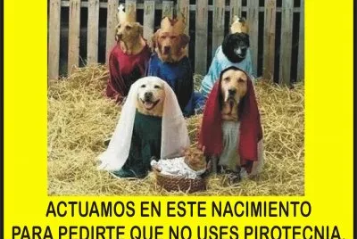 NACIMIENTO. jigsaw puzzle