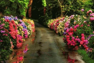 NÂº 465 jigsaw puzzle