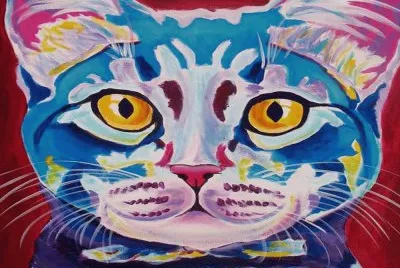 gato