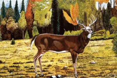 10 jigsaw puzzle