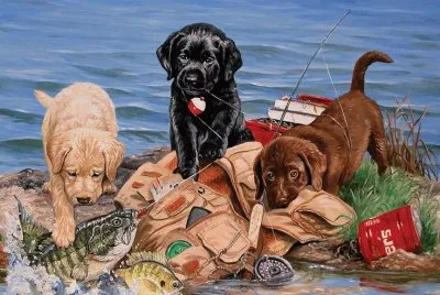 Labs at Fishing