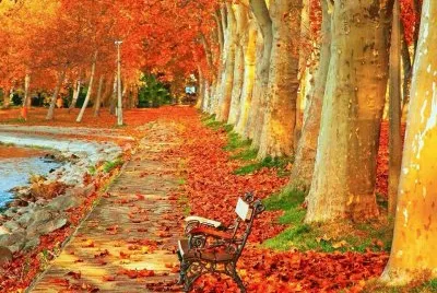 NÂº 478 jigsaw puzzle