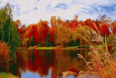 20 jigsaw puzzle