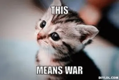 kitty