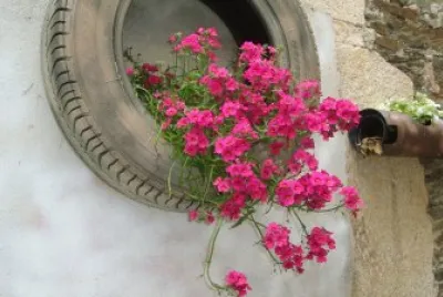 flores jigsaw puzzle