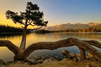 21 jigsaw puzzle