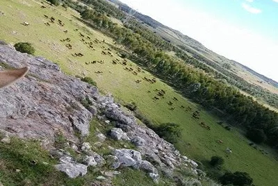 los campos de aqui