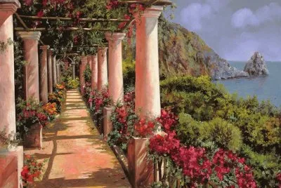 NÂº 482