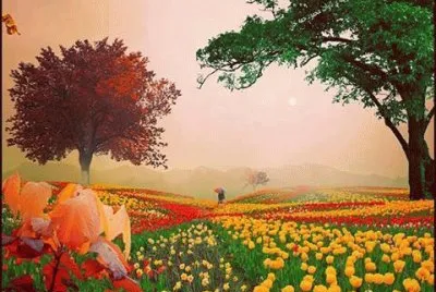 NÂº 486 jigsaw puzzle