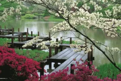 Corea del Sur jigsaw puzzle