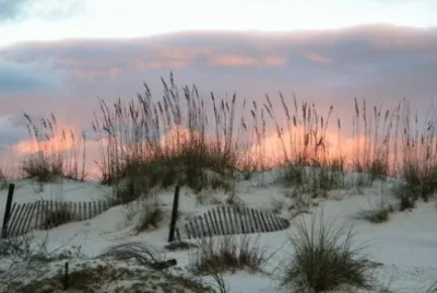 Steve Jones, city coucilman, takes photos daily of our beach jigsaw puzzle