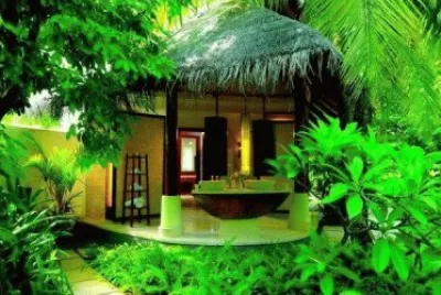 ile jigsaw puzzle