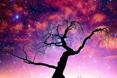 natureza jigsaw puzzle