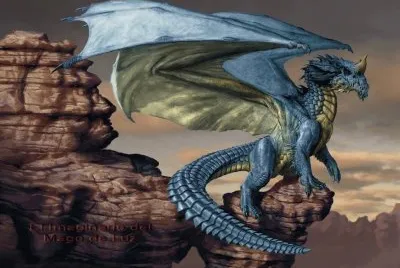 NÂº 487