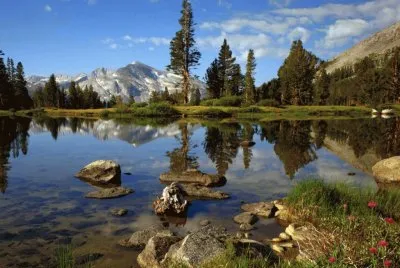 Tranquilidad jigsaw puzzle