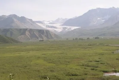 Gulkana glacier, AK
