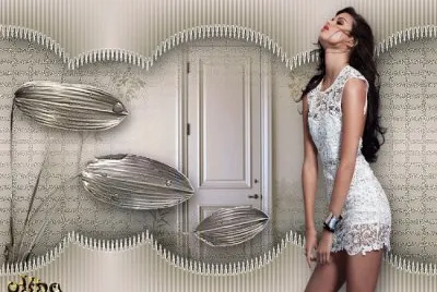 en blanco y plata jigsaw puzzle