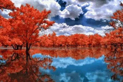 Paisaje 1 jigsaw puzzle