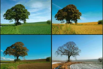 pueden distinguir cada una de las estaciones