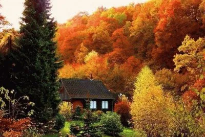 NÂº 500 jigsaw puzzle
