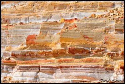 naturaleza jigsaw puzzle