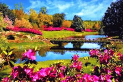 summer-73 jigsaw puzzle
