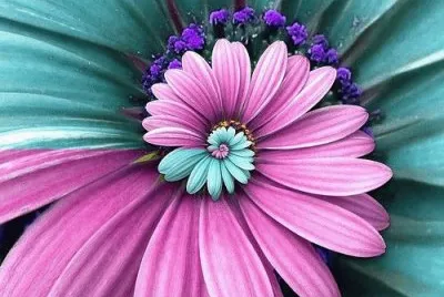 Pink and Blue Flower jigsaw puzzle