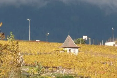 Automne