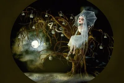 Moonlight Lady