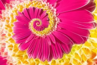 Fractal Flower jigsaw puzzle
