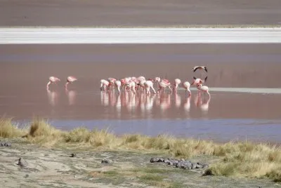 viaje por Bolivia