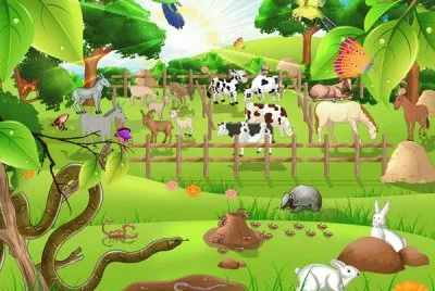 infantil