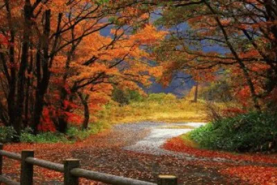 פאזל של Autumn