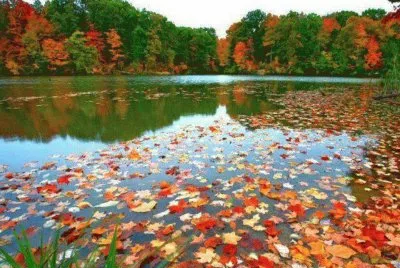 Paisaje 6 jigsaw puzzle