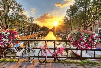 28 jigsaw puzzle