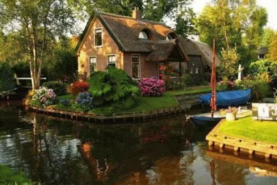 casa na floresta