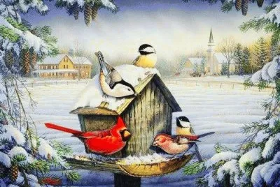neve jigsaw puzzle